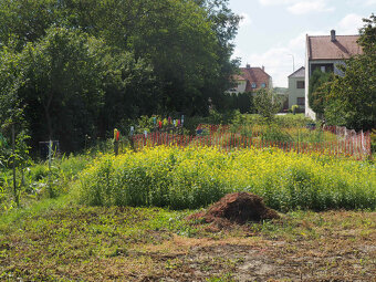 Velká nad Veličkou: stavební pozemek + pole - 4