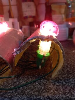 Muchomůrky vánoční - 4