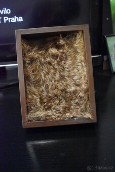 Dekorativní rámeček s lebkou - 4