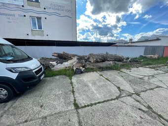 Palivové dřevo, dekorace - 4
