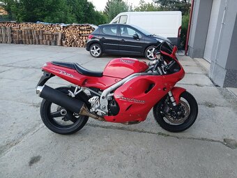 Triumph Daytona - 4