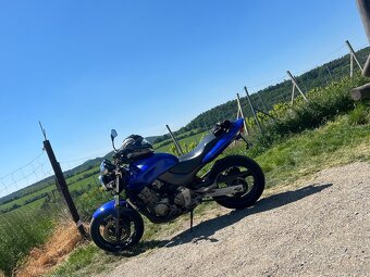 Honda Hornet 600 - 4