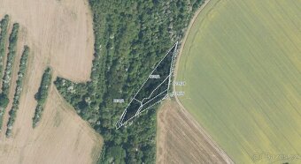Zemědělská půda, prodej, Kudlovice, Uherské Hradiště - 4