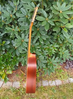 Kytara LAG Tramontane T70D - 4