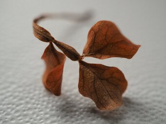 Olympus 30/3.5 Macro M.Zuiko mft - 4