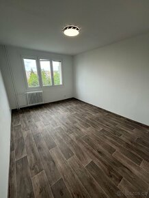 Nově zrekonstruovaný slunný byt v Plzni, Bory - 4