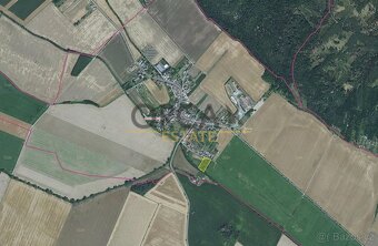 0,5 ha lesního pozemku v k.ú. Stařechovice - 4