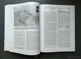 Kniha Keltské mincovnictví - 4