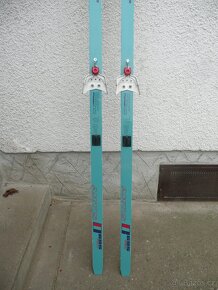 Běžky ARTIS Polar 695 délka 190 cm - 4