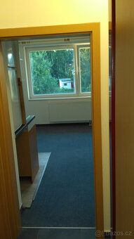 Pronájem bytu 1+kk - 4