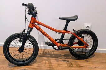 Rascal 14 - oranžový - 4