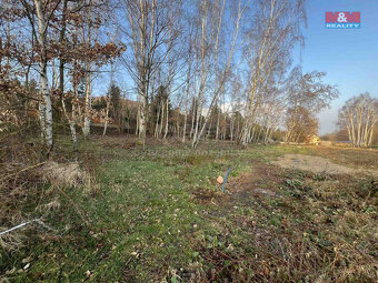 Prodej pozemku k bydlení, 6184 m², Dubí - 4