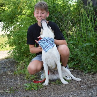Adamko hledá domov - 4
