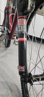 Schwinn - 4