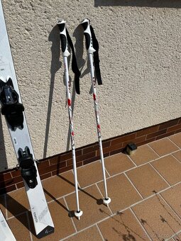 LEKL Lyžařské dámské hůlky 110 cm - 4