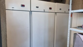 Mrazák i Lednice Electrolux Gastro - 4