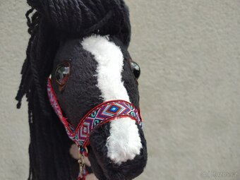 Hobby horse NOVÝ - 4