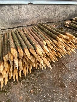 Smrkové kůly 150 cm špičkou - 4