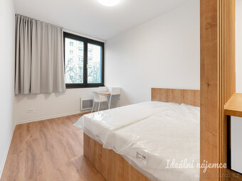 Pronájem bytu 1+kk, Na Větrníku, Břevnov, Kč/měs, 27 m2 - 4