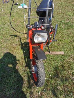 Prodam Bebettu Stella - 4