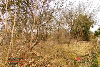 Prodej, pozemky/bydlení, 414 m2, Cheb , Cheb [ID 69153] - 4