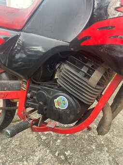 Jawa dandy 50 - 4