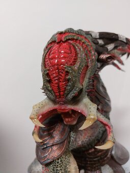 Predator Berserker Infinity Studio - 4