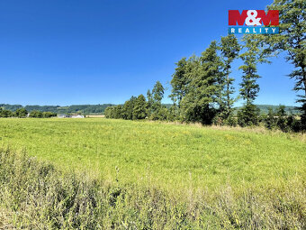 Prodej pozemku k bydlení, 5033 m², Damníkov - 4