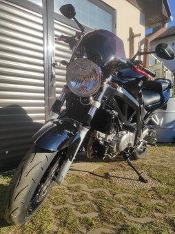 Suzuki SV 650 N- Výměna,prodej 49 tis. - 4