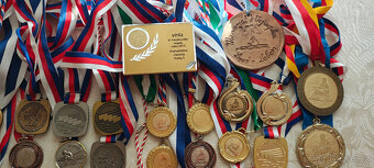 medaile z veslování - 4