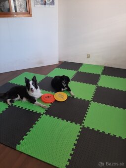 Sportovní fitness puzzle podlaha - 4