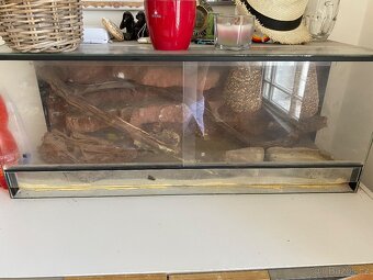 Terarium pro agamu - 4