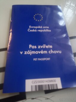 Darují německého ovčáka - 4