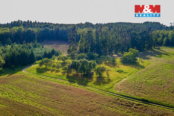 Prodej ovocného sadu v Morašicích - 4