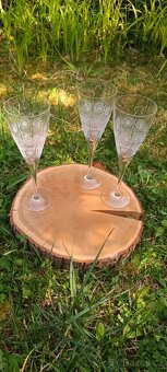 Sada Bohemia Crystal - 4