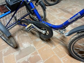 Elektro tříkolka Loped pro seniory - 4