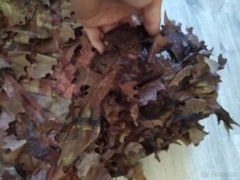Leaf suit - 4