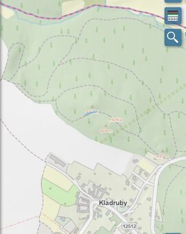 Lesní pozemek Kladruby u Vlašimi - 4