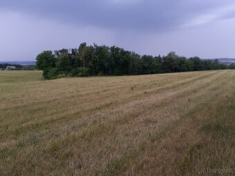 Prodej 0,13 ha pozemku - investiční příležitost - Neslovice - 4