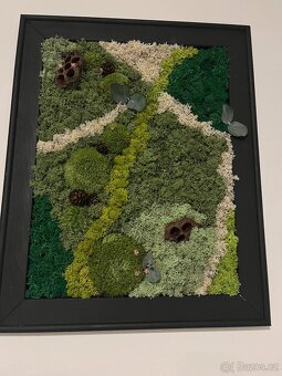 Set mechových obrazov - 4