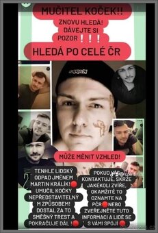 kočka Pardubice - 4