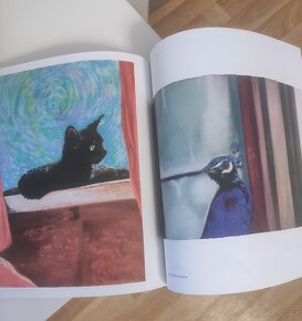 Šumava patafyzická- Faltus, Steigerwald - 4