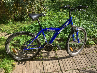 Dětské jízdní kolo Trekking Courage - 4