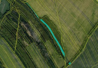 Prodej, pozemek, 8 339 m, Palackého 172, Bojkovice, Česko - 4