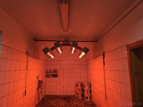 Solárium pro koně 3600W s řídící jednotkou na čipy - 4