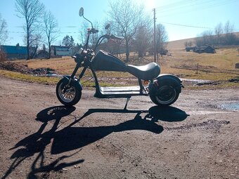 Elektro chopper - 4