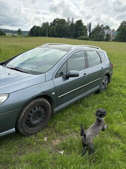 Peugeot 407 sw 2.0 HDI 2005 - 4
