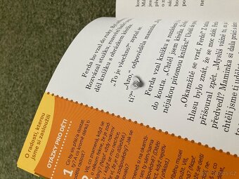 Ferda a jeho mouchy - 4