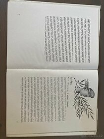 Ke 140. výročí bitvy u Slavkova. - 4