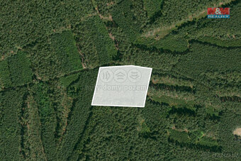 Prodej lesa, 33090 m², Rybnice - 4